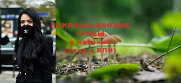 альфа пвп Вяземский