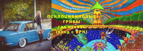 прущая мука Вязьма
