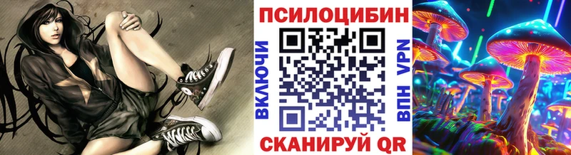Купить где  Собинка  Псилоцибиновые грибы GOLDEN TEACHER 