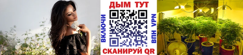 Марихуана семена Купить закладки Собинка